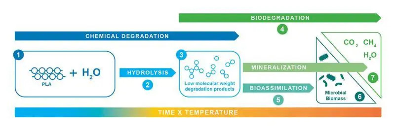 Processo de degradação do bioplástico